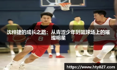 智博19有限公司